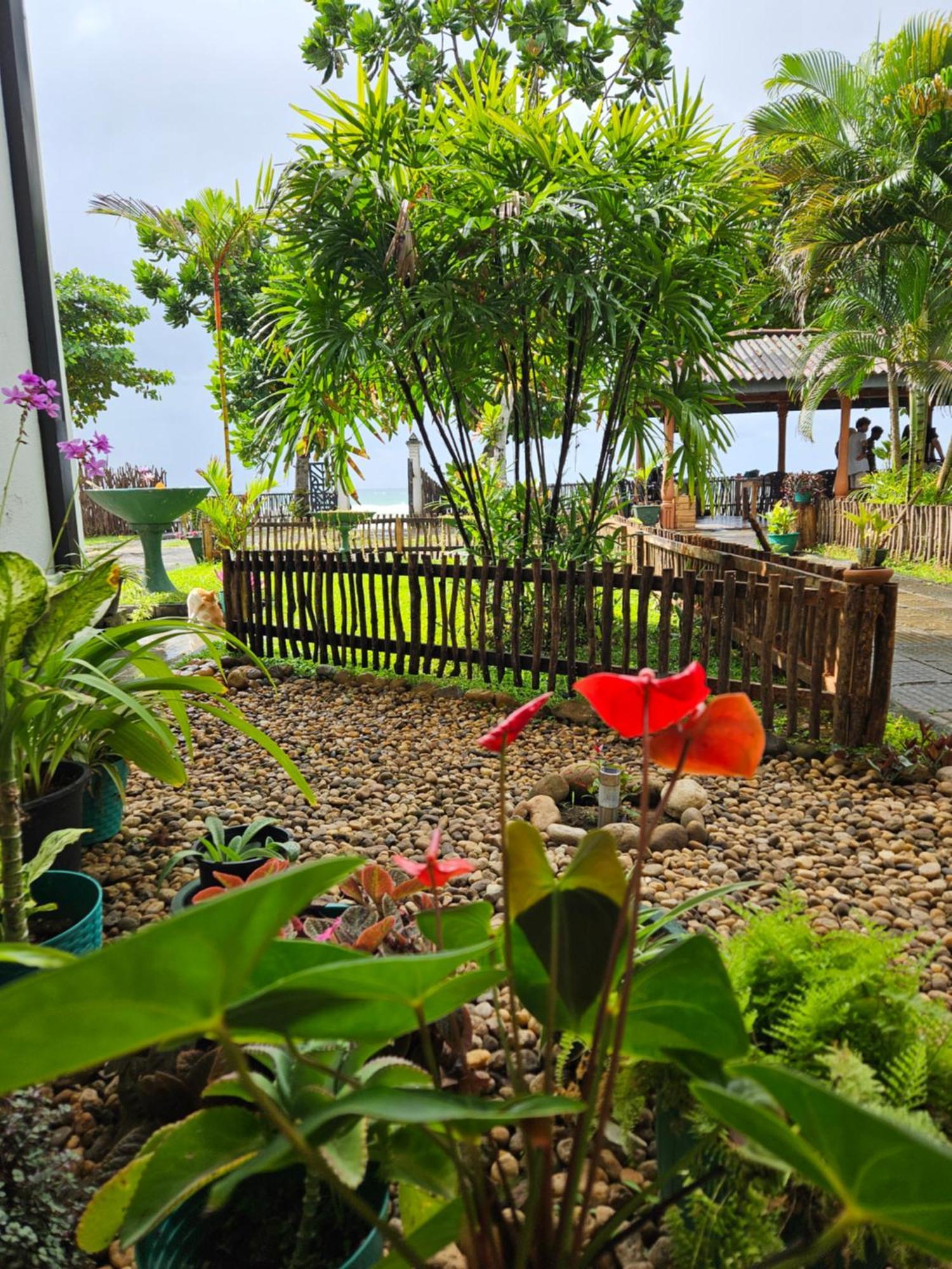 Balance Beach Resort Dikwella Eksteriør billede