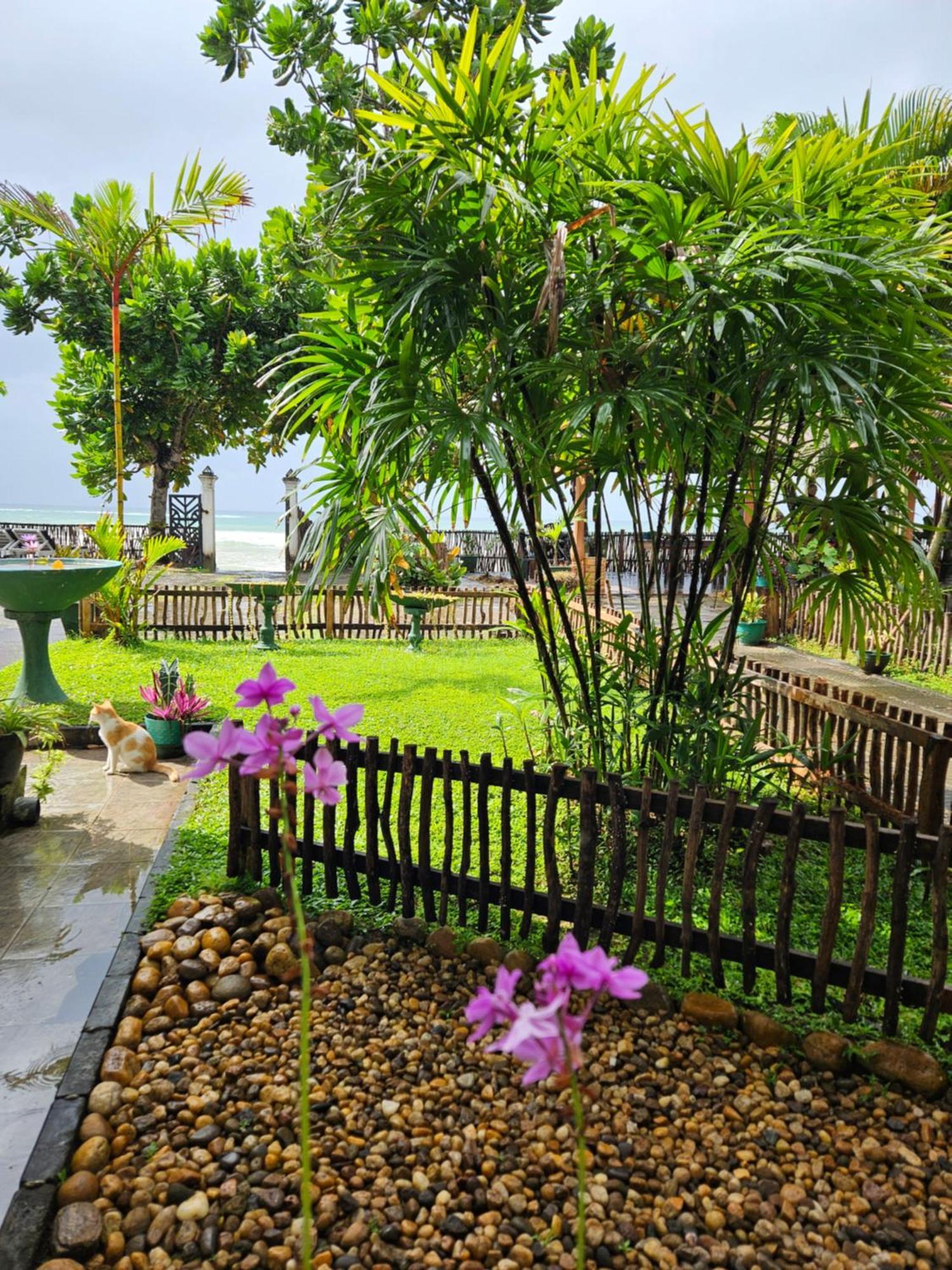 Balance Beach Resort Dikwella Eksteriør billede