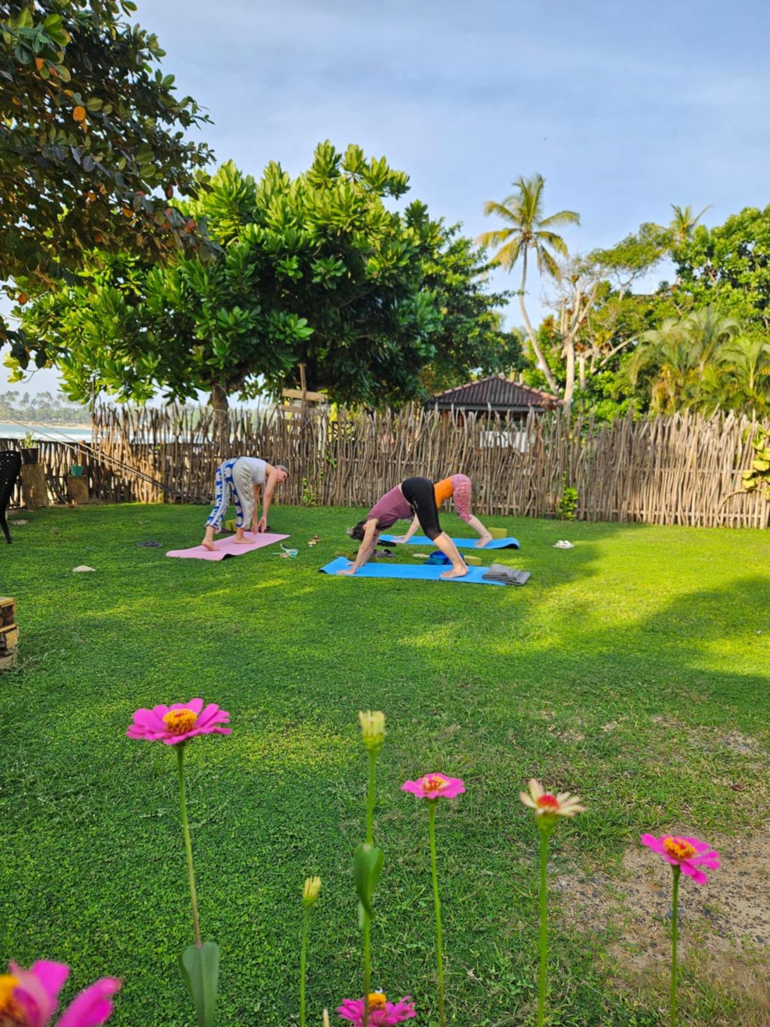Balance Beach Resort Dikwella Eksteriør billede