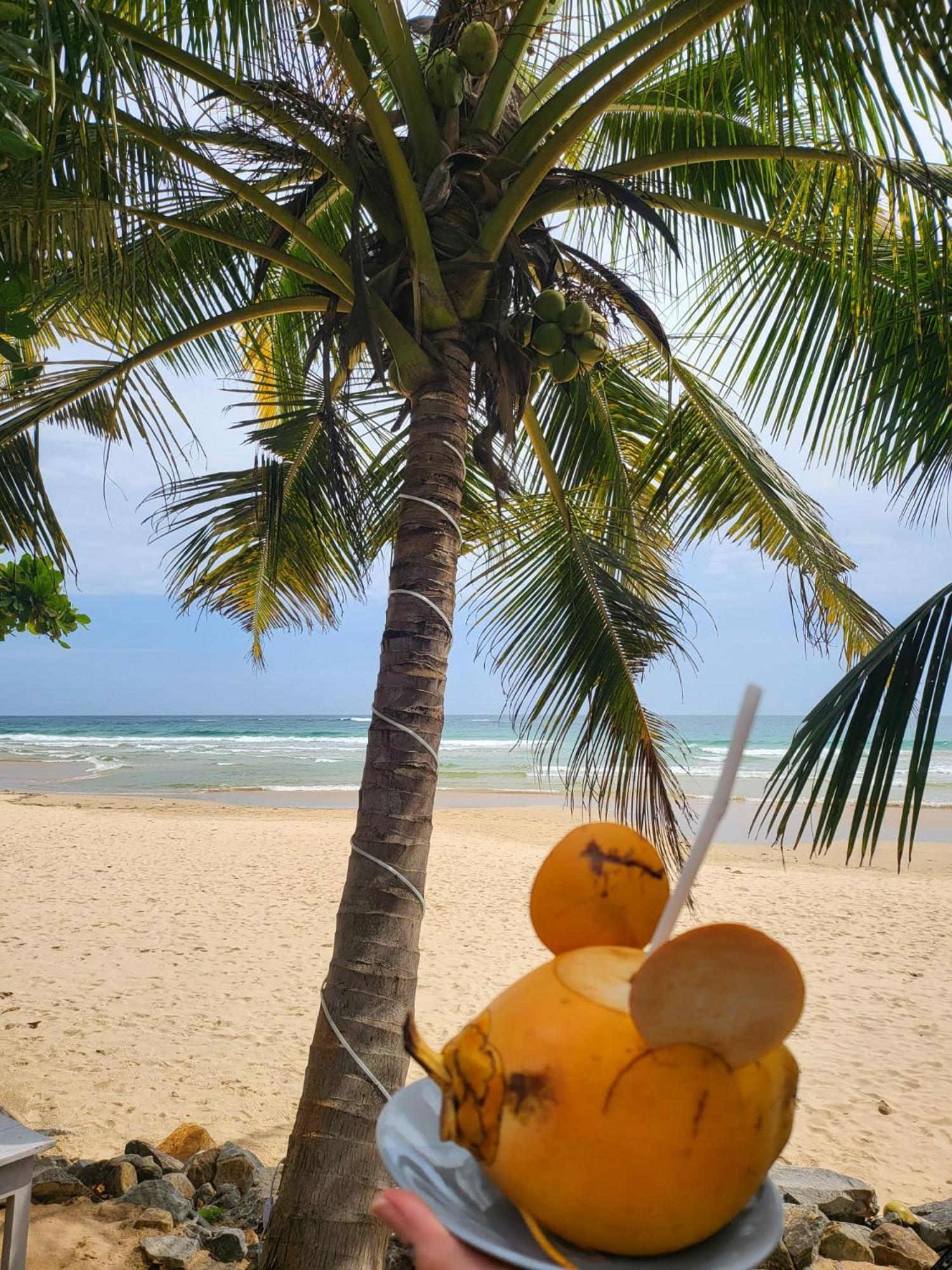 Balance Beach Resort Dikwella Eksteriør billede