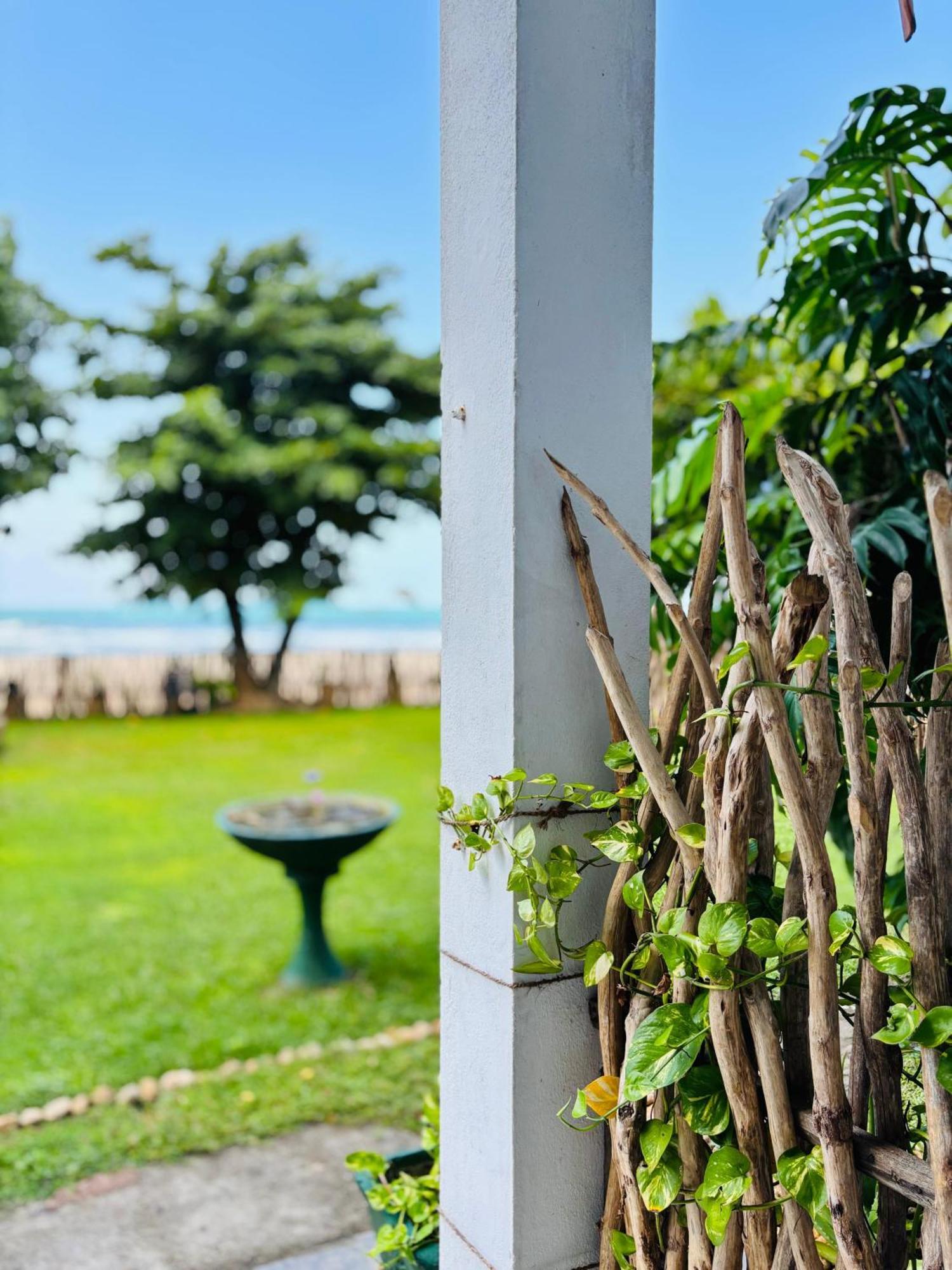 Balance Beach Resort Dikwella Eksteriør billede