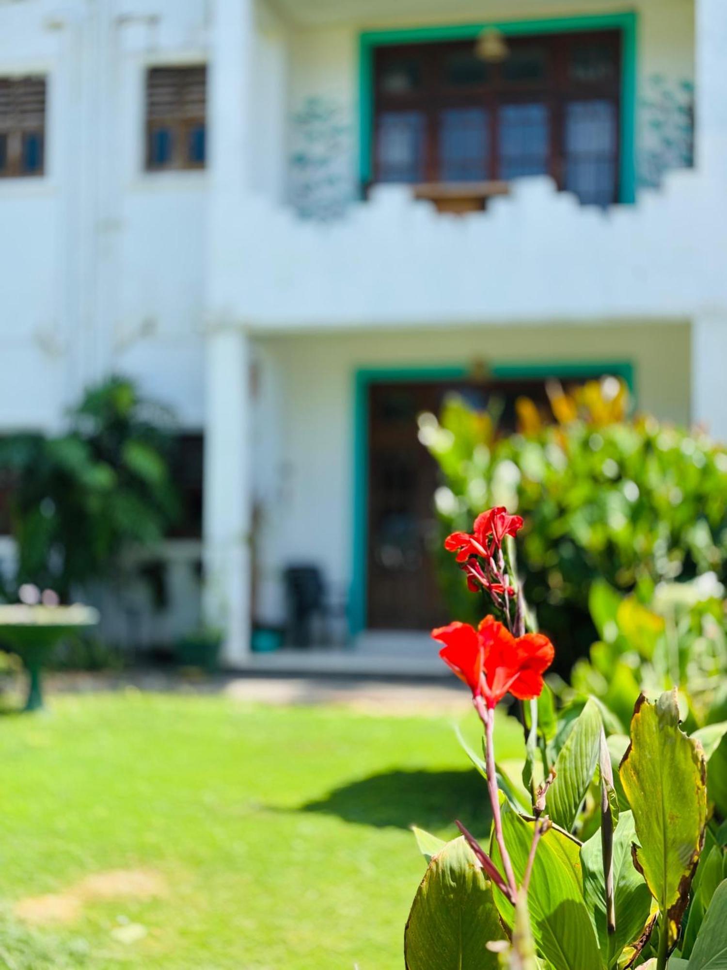 Balance Beach Resort Dikwella Eksteriør billede